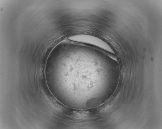 X0000087310359200705041655