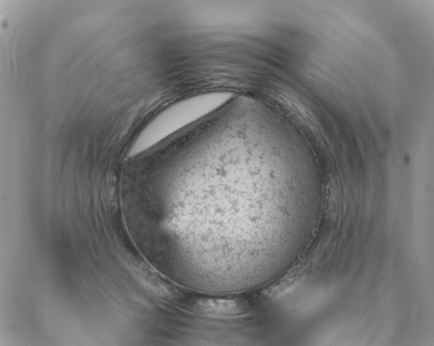 X0000087310361200705041655