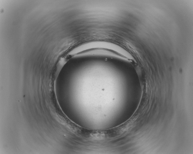 X0000087310362200705041655