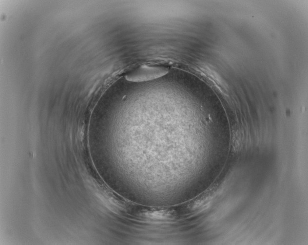 X0000087310365200705041655