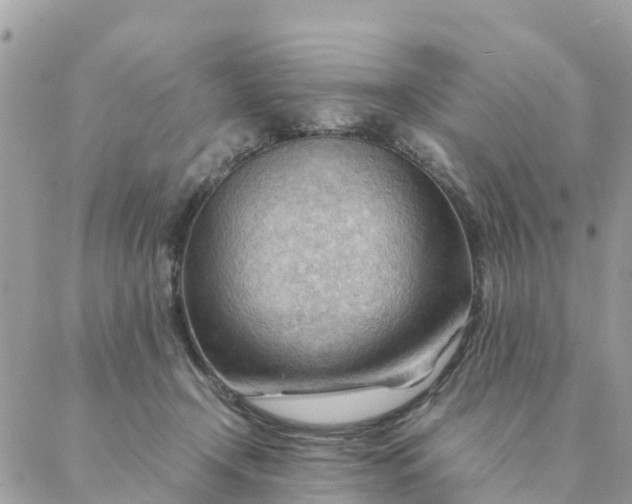 X0000087310366200705041655