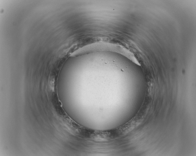 X0000087310368200705041655