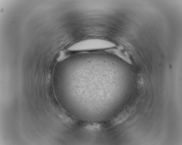 X0000087310369200705041655