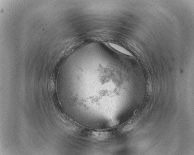 X0000087310371200705041655