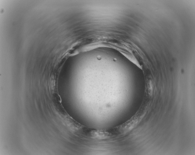 X0000087310372200705041655