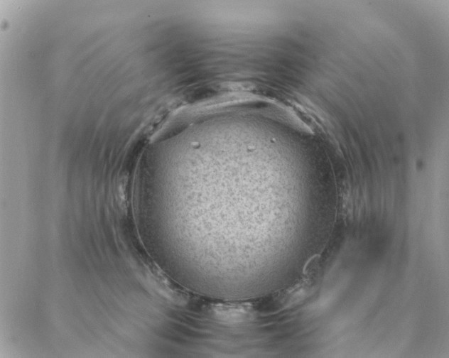 X0000087310373200705041655