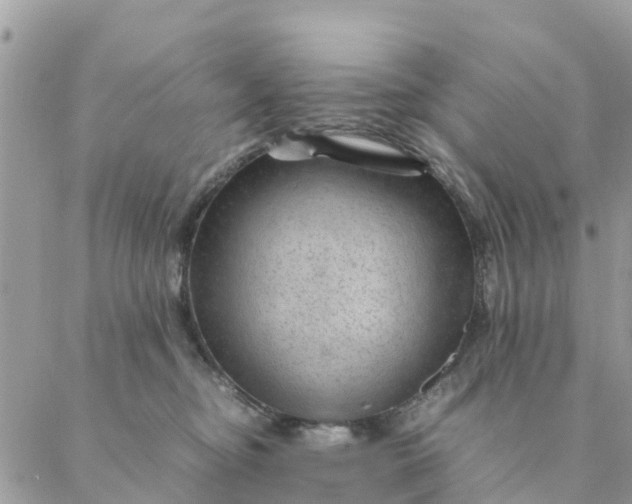 X0000087310374200705041655