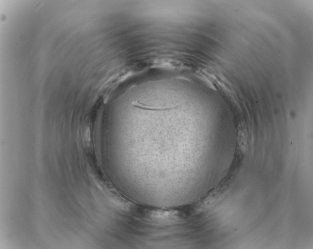 X0000087310375200705041655