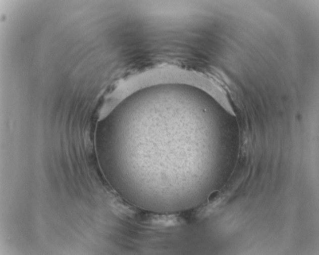 X0000087310377200705041655