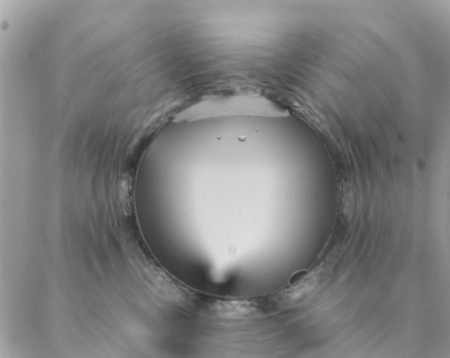 X0000087310378200705041655