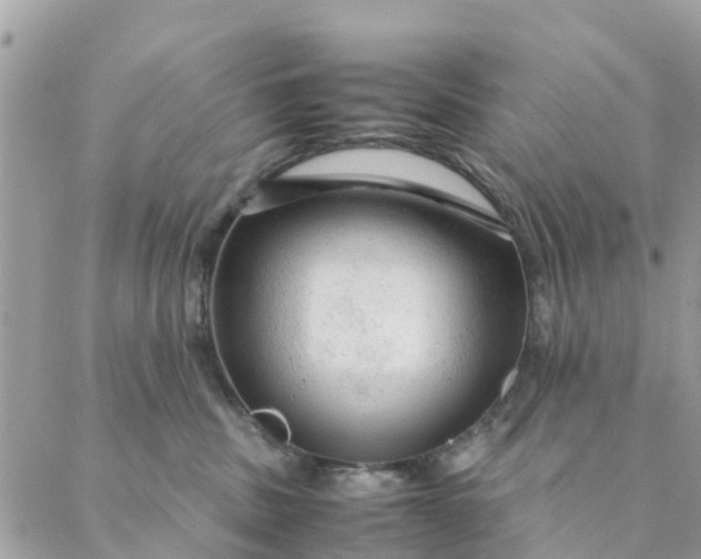 X0000087310379200705041655