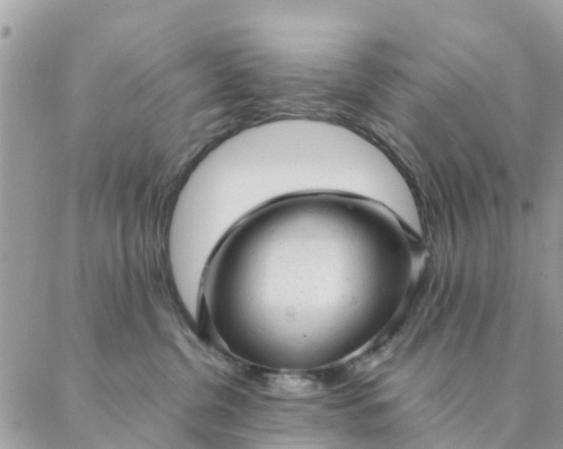 X0000087310380200705041655