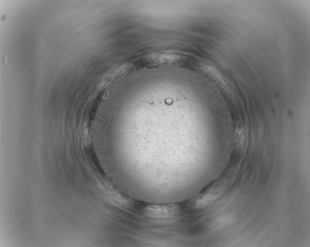 X0000087310381200705041655