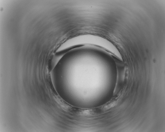 X0000087310382200705041655