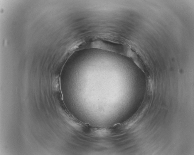 X0000087310383200705041655