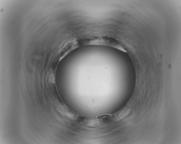 X0000087310384200705041655