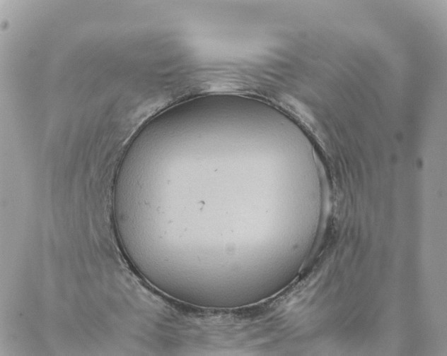 X0000087310385200705041655