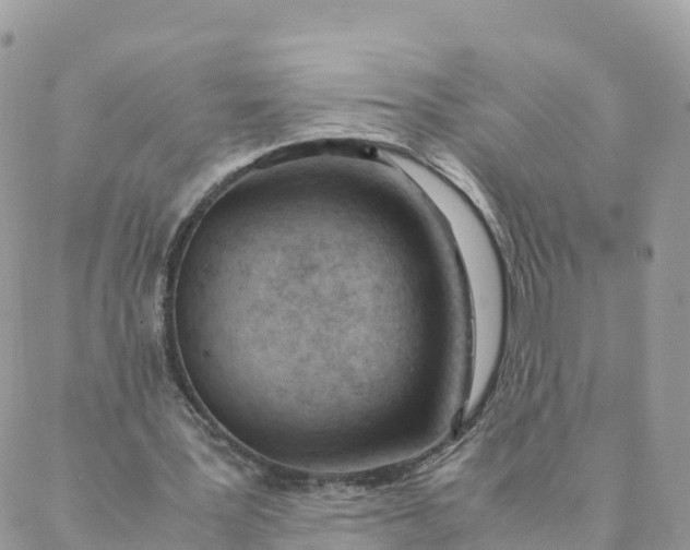 X0000087310387200705041655