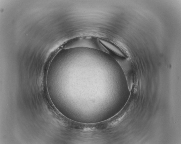 X0000087310388200705041655