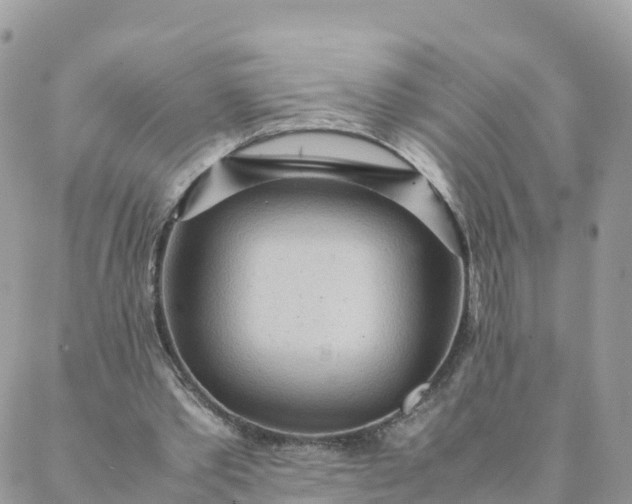 X0000087310389200705041655