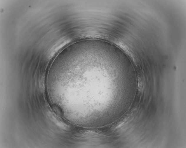 X0000087310390200705041655