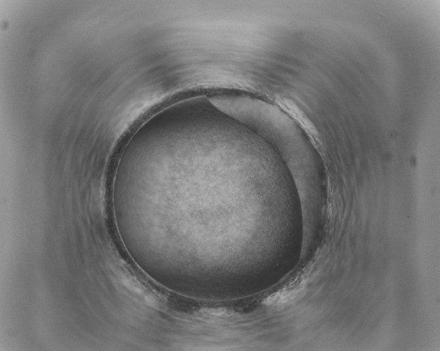 X0000087310391200705041655