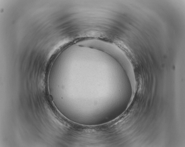 X0000087310392200705041655