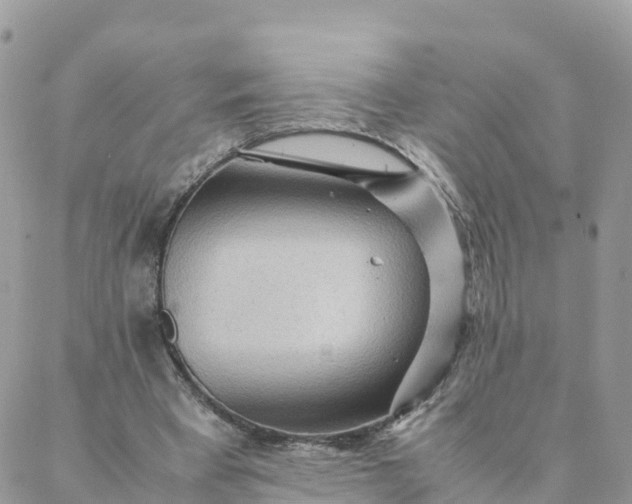 X0000087310393200705041655