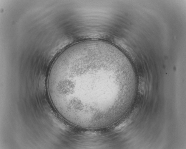 X0000087310394200705041654