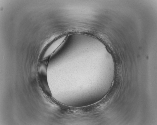 X0000087310395200705041654