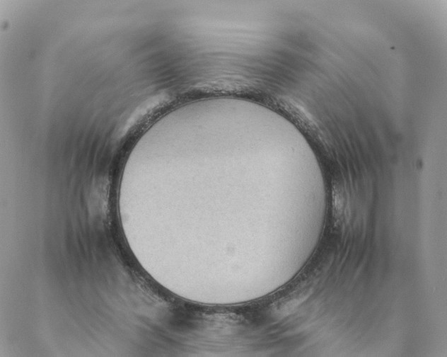 X0000087310396200705041654