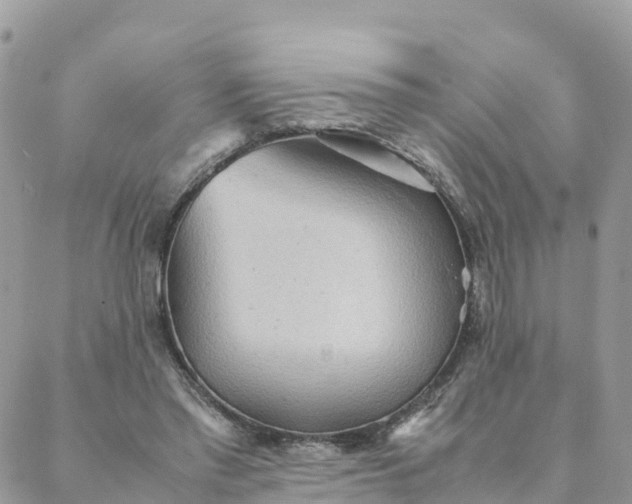 X0000087310397200705041654