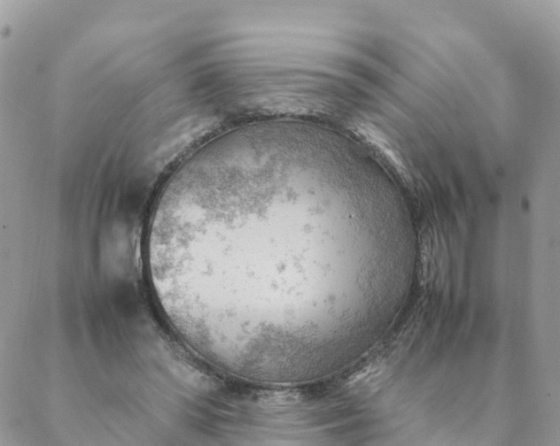 X0000087310398200705041654