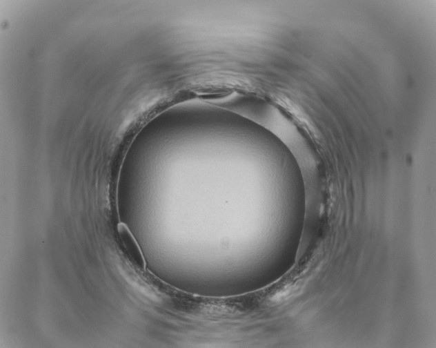 X0000087310399200705041654