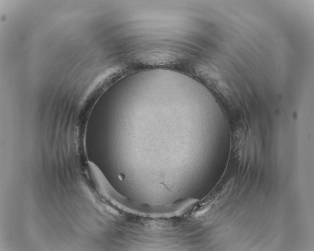 X0000087310400200705041654