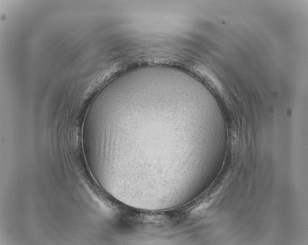 X0000087310401200705041654