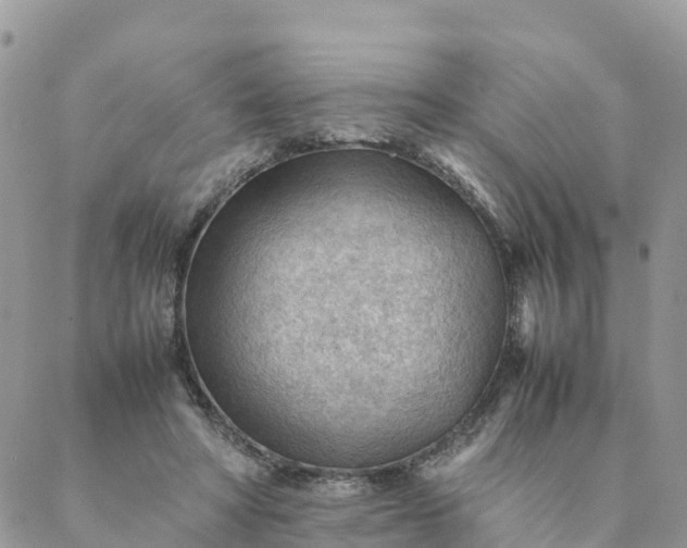 X0000087310402200705041654