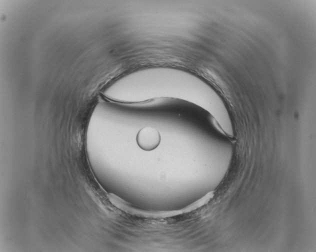 X0000087310405200705041654