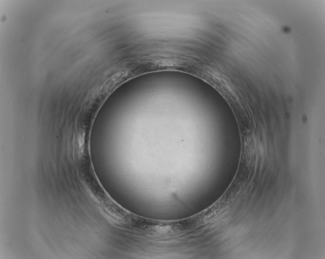 X0000087310406200705041654