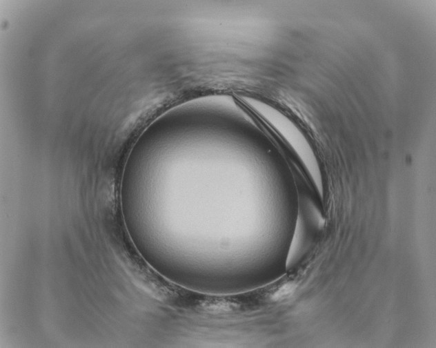 X0000087310407200705041654