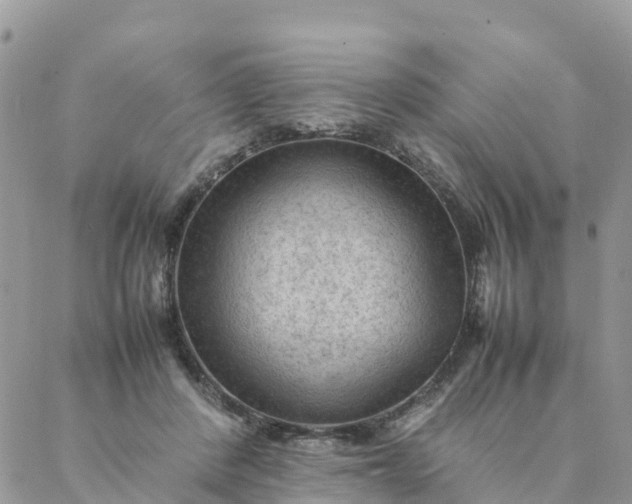 X0000087310408200705041654