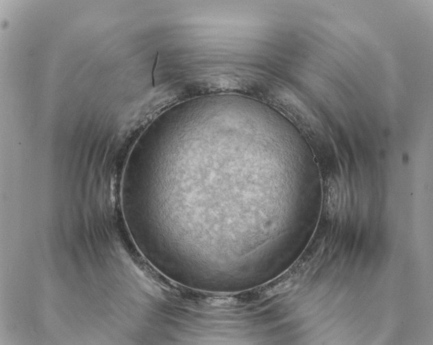 X0000087310410200705041654