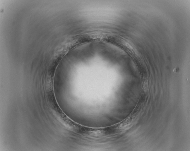 X0000087310411200705041654