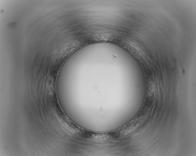 X0000087310414200705041654