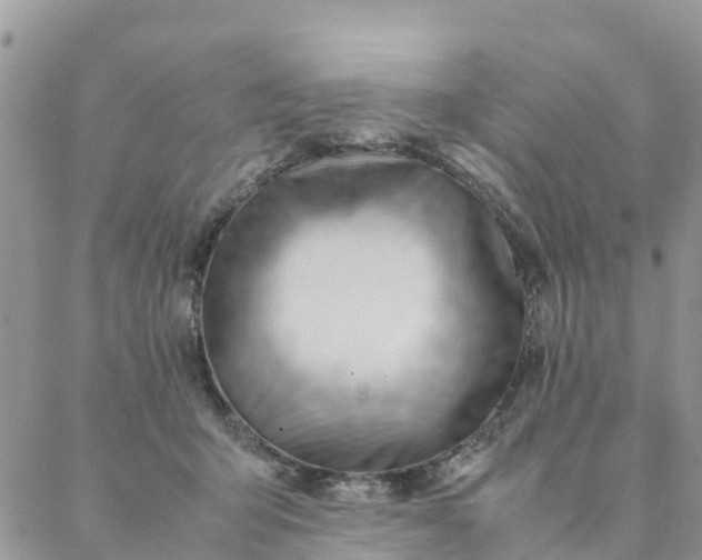 X0000087310415200705041654