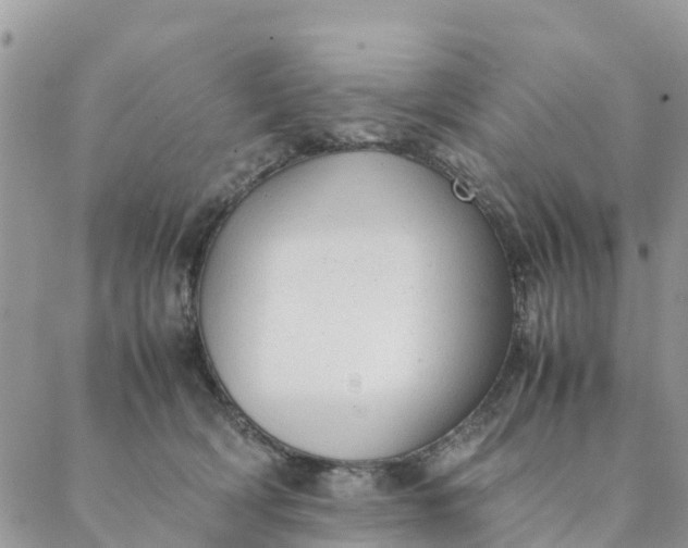 X0000087310418200705041654