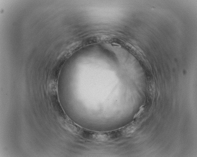 X0000087310419200705041654