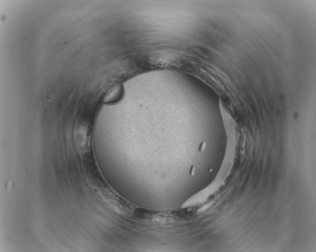 X0000087310420200705041654