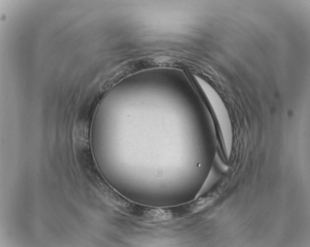 X0000087310421200705041654