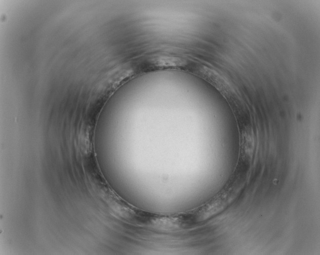 X0000087310422200705041654